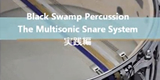 Black Swamp Percussion-The Multisonic Snare System H